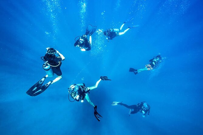 Scuba dive with sharing transfers - Is $125 fair for what you receive?