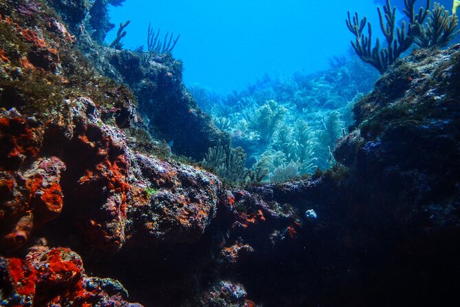 Scuba Diver Certification Course - Who Should Book This Course?