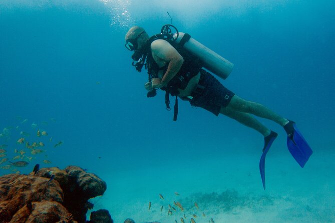 Scuba Diving (1st time) in Cancun Beginner's WELCOMED! - Two underwater worlds in one Cancun outing