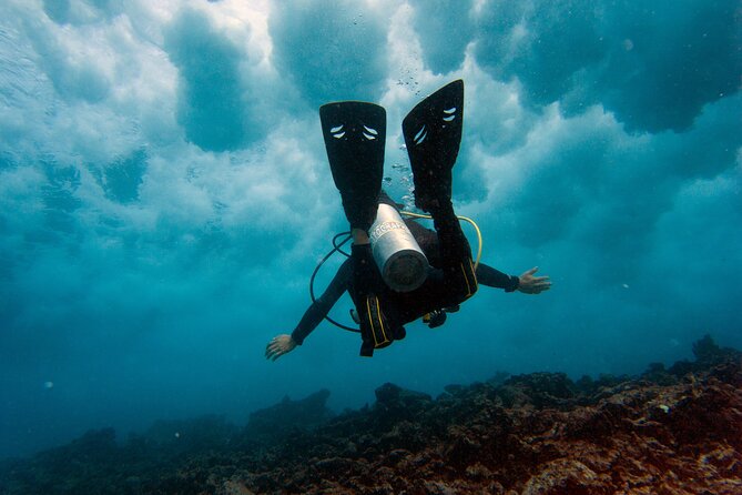 Scuba Diving (1st time) in Cancun Beginner's WELCOMED! - Why the small group makes a difference