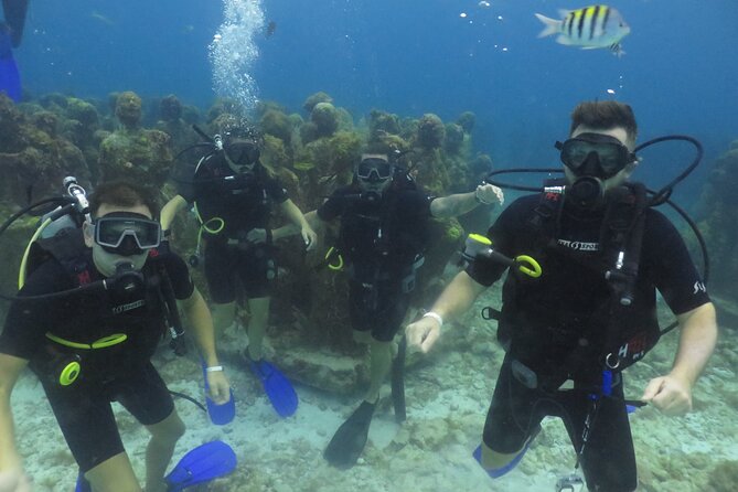 Scuba Diving (1st time) in Cancun Beginner's WELCOMED! - Who should choose this experience