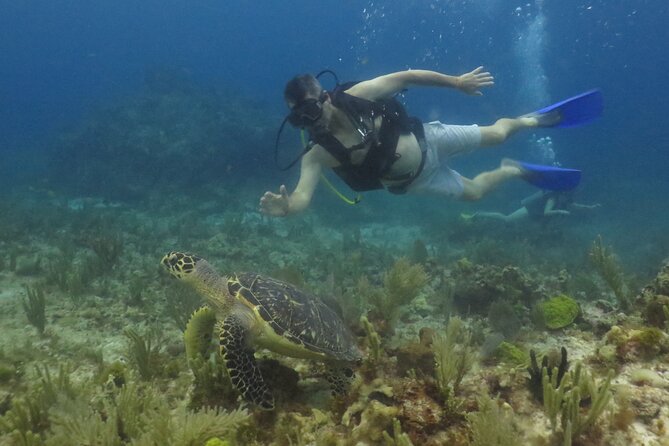 Scuba Diving (1st time) in Cancun Beginner's WELCOMED! - Practical advice for a smoother first session