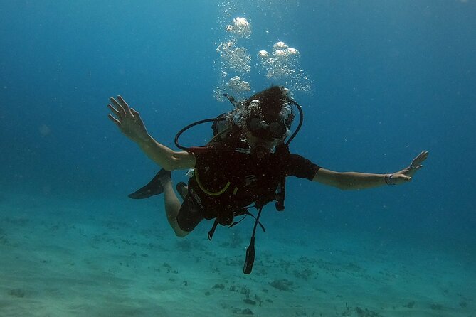 Scuba Diving (1st time) in Cancun Beginner's WELCOMED! - What the morning feels like from the marina