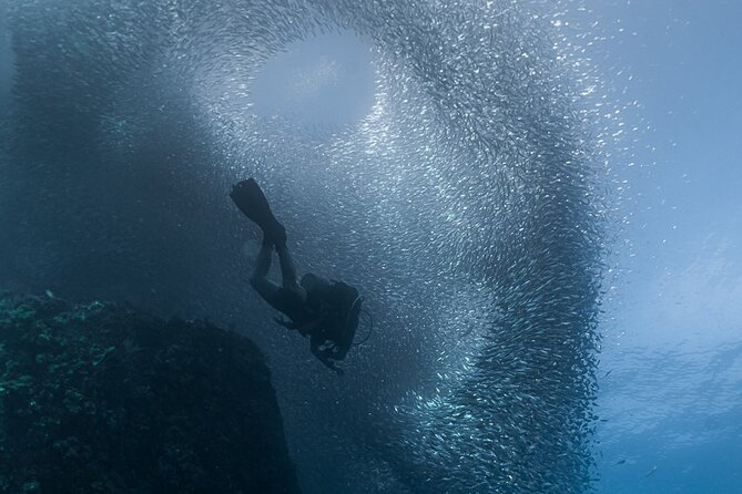 Scuba Diving - The guides and the value of close supervision