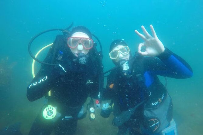 Scuba Diving Activity in Dubai with Hotel Pickup - Key points to know before booking