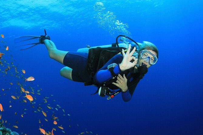 Scuba Diving Activity in Dubai with Hotel Pickup - What happens during the two-hour session