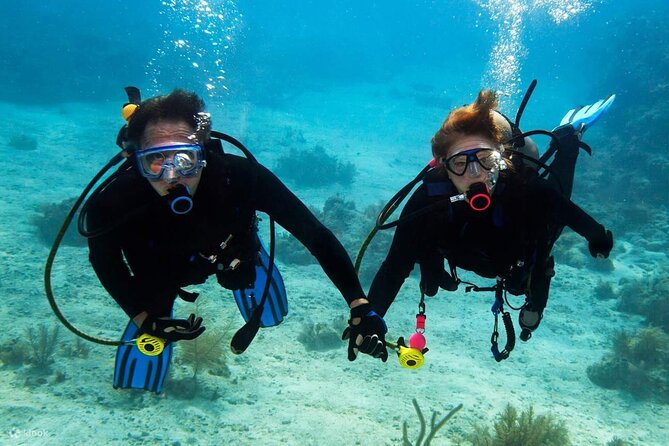 Scuba Diving Activity in Dubai with Hotel Pickup - Hotel pickup makes the timing easier