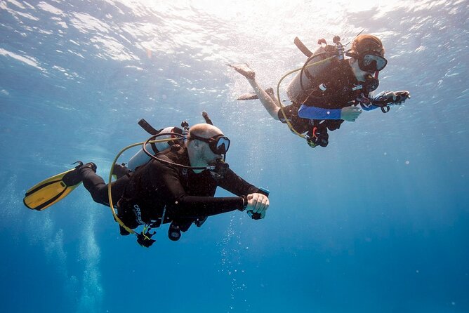 Scuba Diving Activity in Dubai with Hotel Pickup - Who will enjoy this Jumeirah Beach activity?