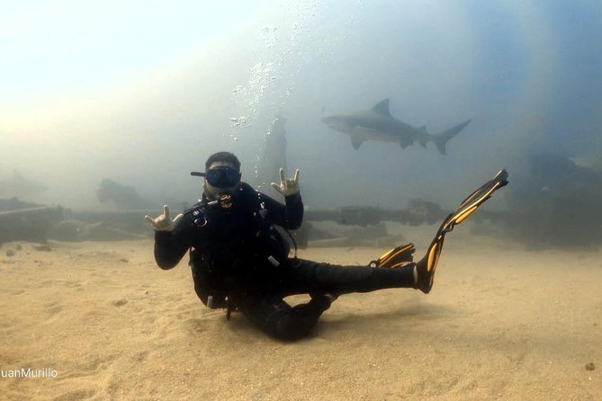 Scuba Diving adventure Cabo pulmo - What is included, and what needs checking