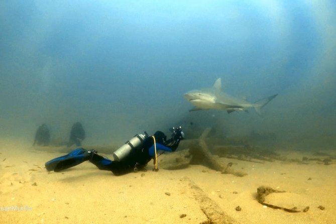 Scuba Diving adventure Cabo pulmo - Fitness, certification, and weather