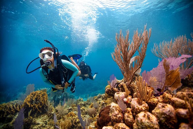 Scuba Diving at Jumeirah Dubai with Private Transfers - What the 2.5-hour Jumeirah session is really like
