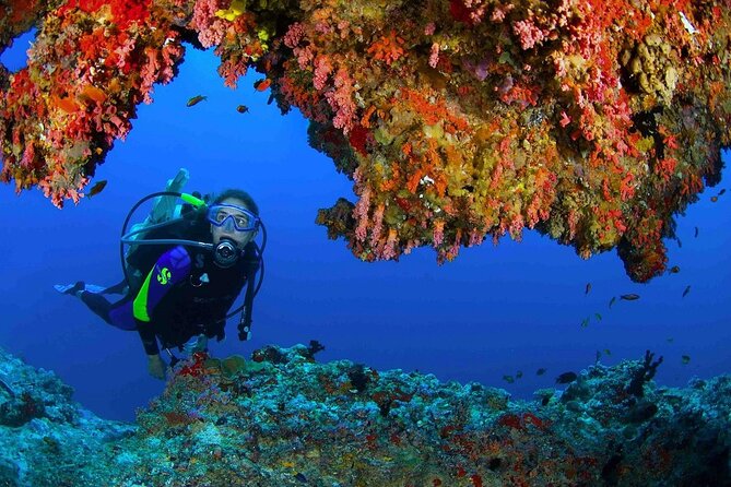 Scuba Diving at Jumeirah Dubai with Private Transfers - Why the four-to-one ratio matters