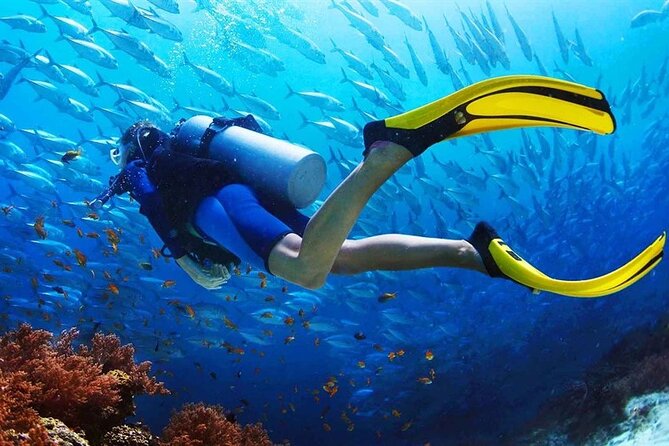 Scuba Diving at Jumeirah Dubai with Private Transfers - Is $167.49 a fair price?