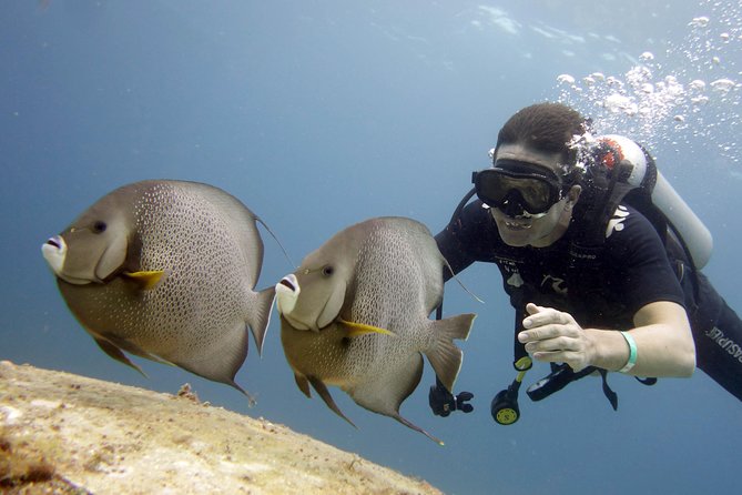 Scuba diving at MUSA the underwater museum for certified divers - The small-group format is a real advantage