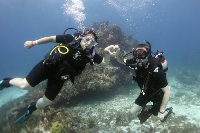 Scuba diving at MUSA the underwater museum for certified divers - Who will enjoy this most