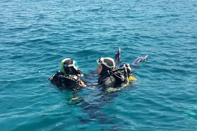 Scuba diving baptism - A gentle first taste of the Mediterranean