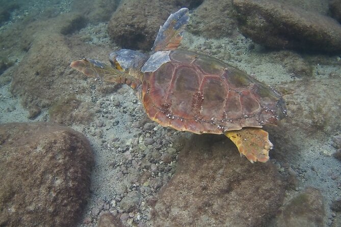 Scuba Diving Baptism in Costa Teguise, Lanzarote - Why the 45-Minute Duration Matters