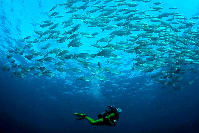 Scuba Diving Baptism in Costa Teguise, Lanzarote - Weather, Cancellations, and Practical Planning