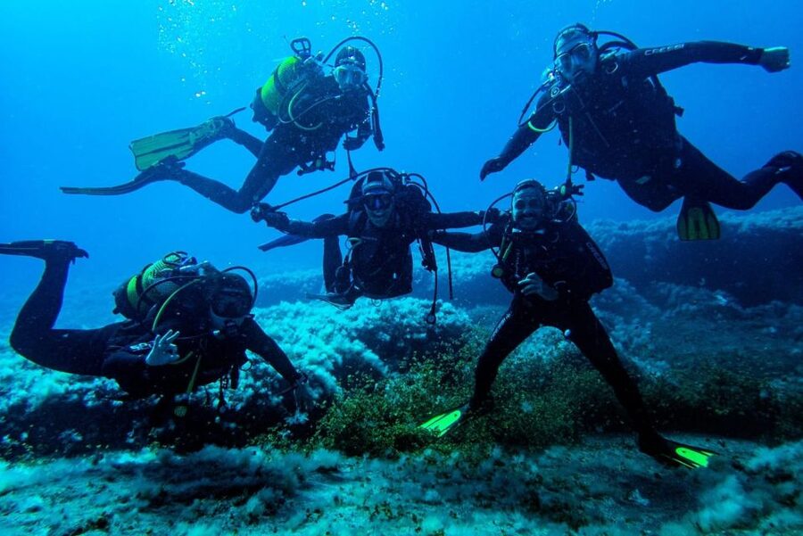 Scuba Diving Baptism in La Restinga - Practical Planning for Your Day in La Restinga