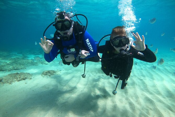 Scuba Diving (Basic Diver - 2 dives) - How the small group affects the experience