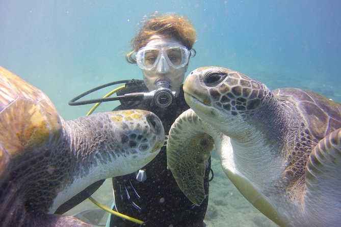 Scuba Diving Beginner's Session in Costa Adeje - Learning the basics before entering deeper water