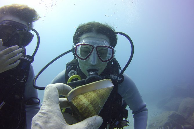 Scuba Diving Beginner's Session in Costa Adeje - Is $114.93 good value?