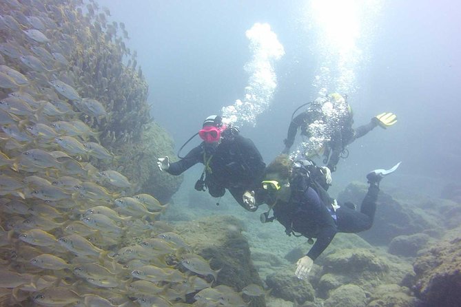 Scuba Diving Beginner's Session in Costa Adeje - Who will enjoy this most