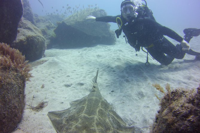 Scuba Diving Beginner's Session in Costa Adeje - What the experience does not promise