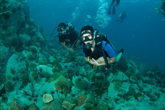 Scuba Diving Day Trip at Koh Chang – 2 Dives - Choosing between HTMS Chang and Koh Rang