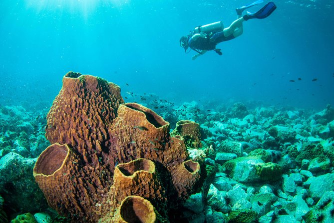 Scuba Diving Day Trip at Koh Chang – 2 Dives - The boat ride and first underwater session