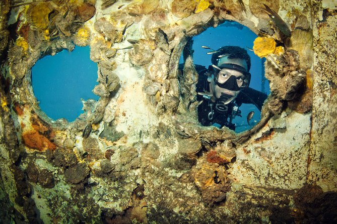 Scuba Diving Day Trip at Koh Chang – 2 Dives - Who should book this Koh Chang trip?