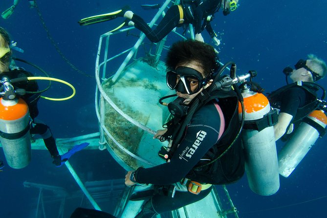 Scuba Diving Day Trip at Koh Chang – 2 Dives - What the 8 a.m. day looks like