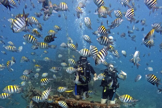 Scuba Diving Discovery in the Crystal Water DE Bayahibe - Key points before you book