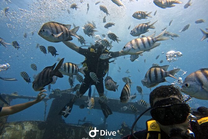 Scuba Diving Discovery in the Crystal Water DE Bayahibe - Who will enjoy this Bayahibe outing most