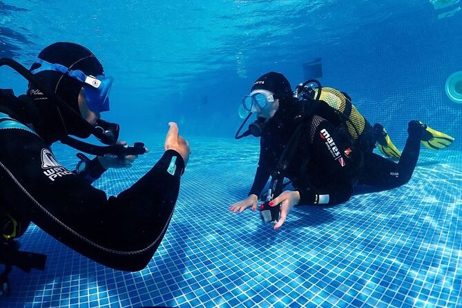 Scuba Diving Experience for Beginners in Ponta de São Lourenço - A gentle first step into Madeira’s underwater world