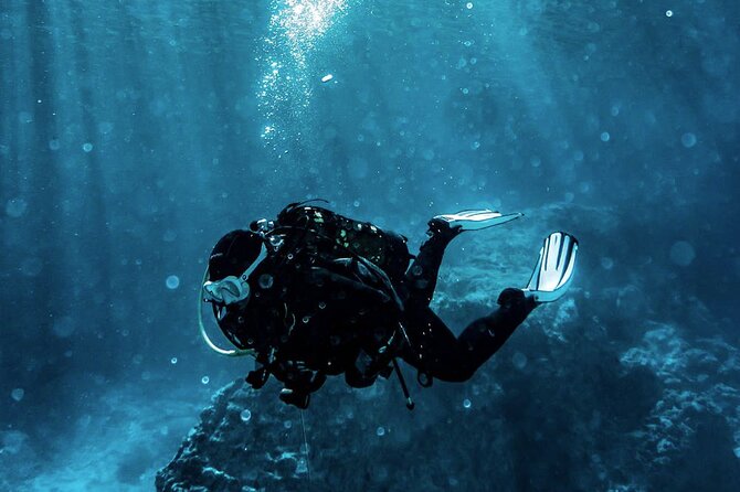 Scuba Diving Experience in Alanya With Lunch and 2 Dives - Quick points to know