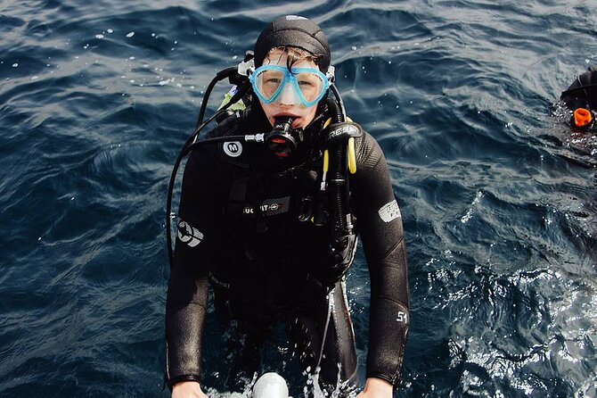 Scuba Diving Experience in Alanya With Lunch and 2 Dives - Lunch, transfers, and the value of $40