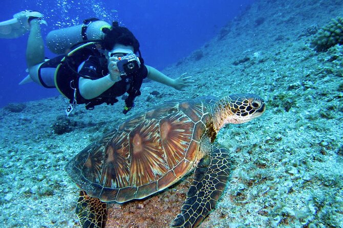 Scuba Diving Experience in Alanya With Lunch and 2 Dives - Timing, booking, and cancellation details