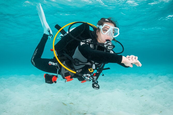 Scuba Diving Experience in Madeira - A gentle start at Azul Diving Center