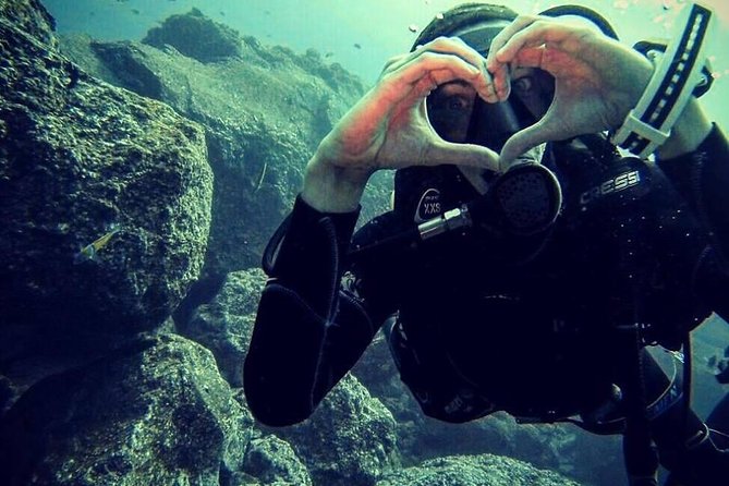 Scuba Diving Experience in Madeira - A small group, but not always a private lesson