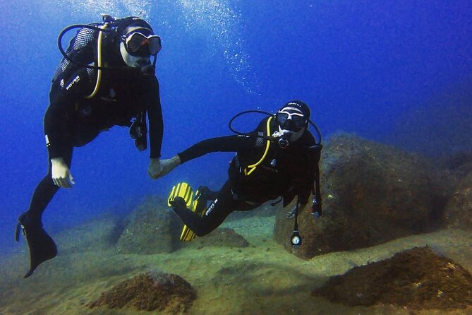 Scuba Diving Experience in Madeira - Timing, weather, and practical planning