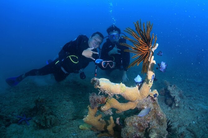 Scuba Diving Experience in Nha Trang Bay - What the Nha Trang Bay outing is really like