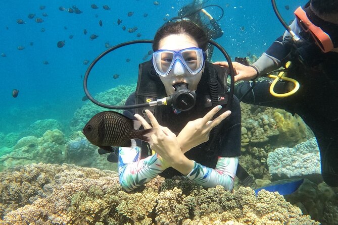 Scuba Diving Experience in Nha Trang Bay - Getting ready with a calm instructor