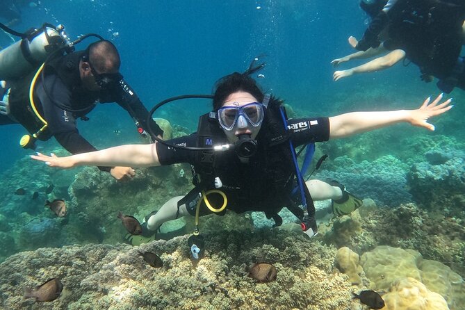 Scuba Diving Experience in Nha Trang Bay - Hon Mieu Island and lunch on the water