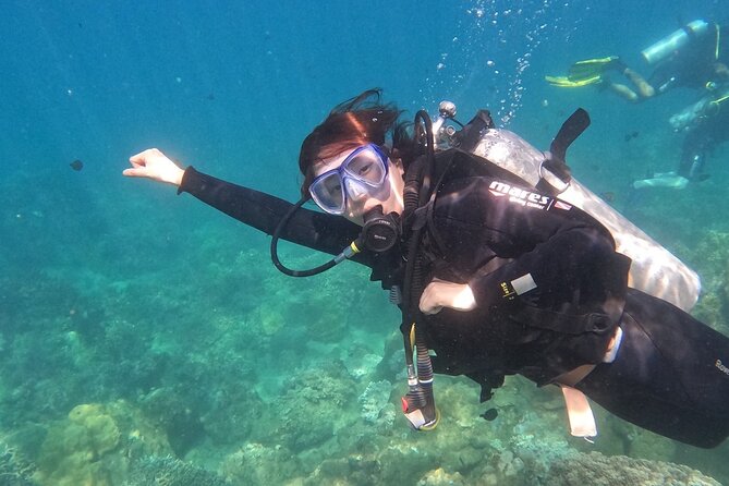 Scuba Diving Experience in Nha Trang Bay - Weather, cancellations, and practical planning