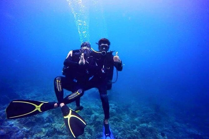 Scuba Diving Experience in Nha Trang Bay - Should you book this Nha Trang sea experience?