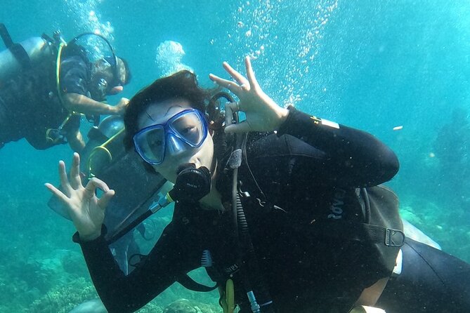 Scuba Diving Experience in Nha Trang Bay - Three hours among coral and sea creatures
