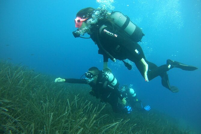 Scuba Diving Experience in Santorini - What the underwater session feels like