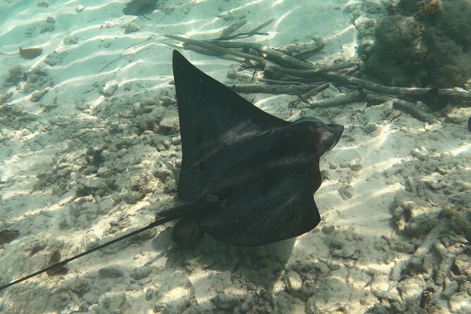 Scuba Diving Experience in Santorini - The staff make the biggest difference