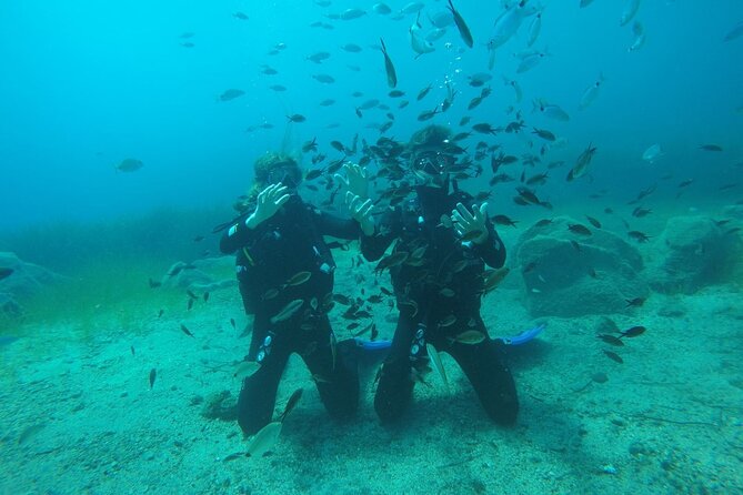 Scuba Diving Experience in Santorini - Timing your flight after the session
